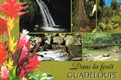 France-Guadeloupe