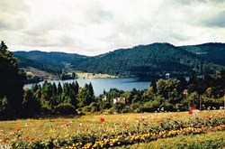 France-Vosges-Gerardmer