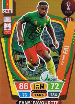 Cameroun-Coupe du Monde Qatar 2022-N°295