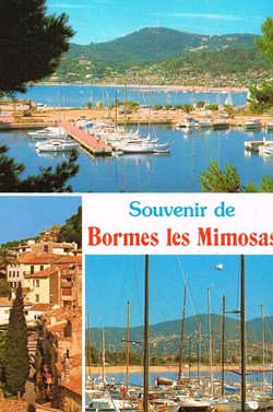 France-Var-Bormes Les Mimosas