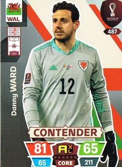 Pays de Galles-Coupe du Monde Qatar 2022-N°487