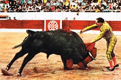 Espagne-R.Ortega
