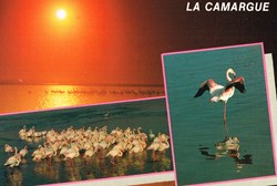 France-Camargue