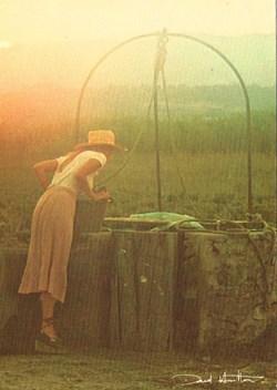 David Hamilton-N°21