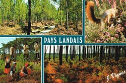 France-Landes-Paysages