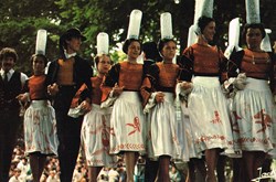 France-Finistère-Cercle de Pont l'Abbé