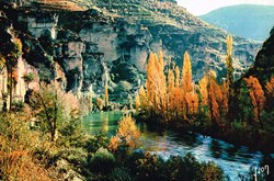 France-Lozère-Gorge du Tarn