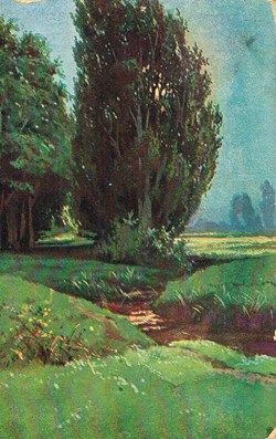 Angleterre-paysage