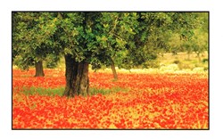 France-Le Lot et Garonne