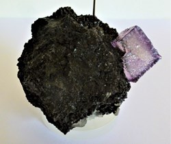 Fluorine violette sur Hématite