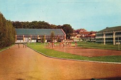 France-Seine et Marne-Fontainebleau-Terrain de sports