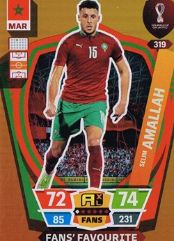 Maroc-Coupe du Monde Qatar 2022-N°319