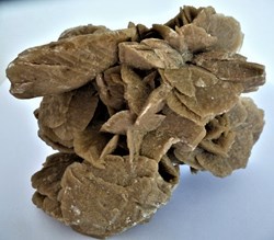 Rose des Sables
