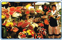 France-Alpes Maritimes-Marché aux Fleurs