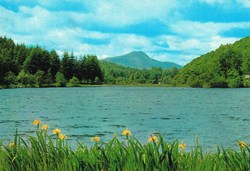 Angleterre-Loch Ard