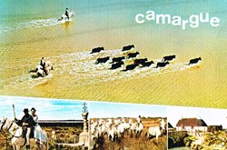 France-Camargue