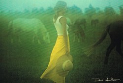 David Hamilton-N°01