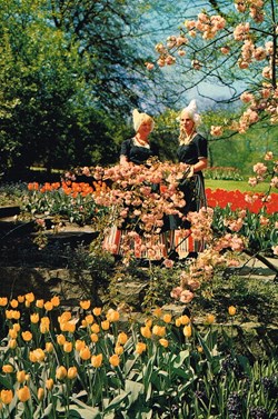 Pays-Bas-Fleurs