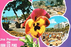France-Alpes Martimes-Juan les pins