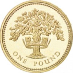 1 livre Elizabeth II 3e effigie, chêne anglais, laiton Angleterre 1992