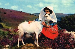 France-Haute Vienne-Les Monedières