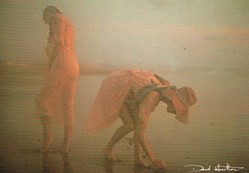 David Hamilton-N°24