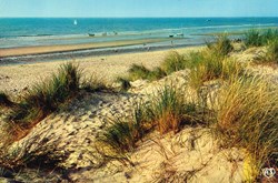 France-Pas de Calais-Wissant