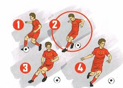 N°220-Belgique-Panini 2018