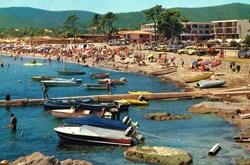 France-Var-Bornes Les Mimosas