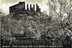 Italie-Agrigento-Temple de Junon