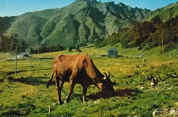 France-Auvergne-Sancy