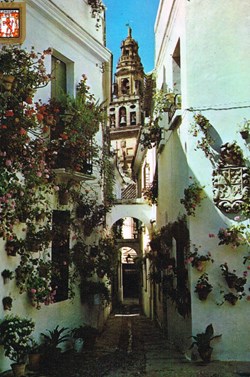 Espagne-Cordoba-Ruelle des Fleurs