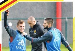 N°83-Belgique-Panini 2018