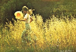 David Hamilton-N°29