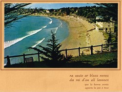 France-Carte de Vœux