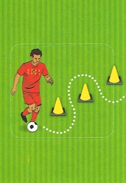 N°82-Belgique-Panini 2018