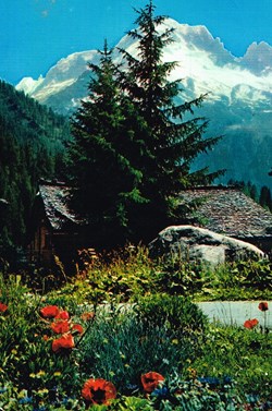 France-Savoie-Mont Blanc