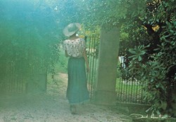 David Hamilton-N°DH-1C