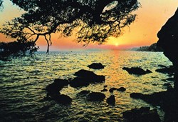 France-Var-Toulon