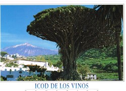 Espagne-Tenerife-Icod de Los Vinos