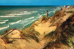 France-Somme-Fort-Mahon