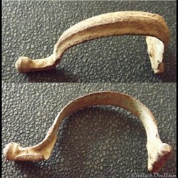 Fibule Aucissa 1