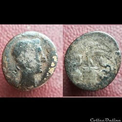 Octave quinaire Asia Recepta