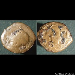 hemilitron Syracuse hippocampe