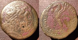 Ptolémée III Evergète eikosachalque / 2,5 oboles bronze Alexandrie 246-222