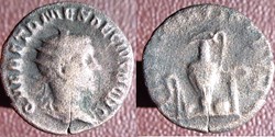 Herennius Etruscus antoninien Rome Pietas avgvstorvm