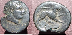 Syracuse, Agathoklès, bronze, Lion