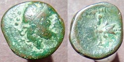 Petelia bronze