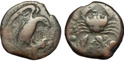 Akragas Agrigente bronze aigle lièvre crabe poulpe coquillage