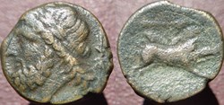 Arpi (Apulie) bronze Zeus sanglier BMC.4 - GC.569 - ANS.635 - MIAMG.1000 (R) - HN. Italy64